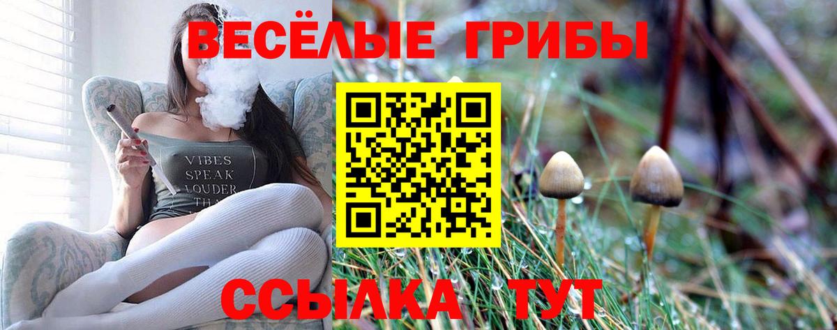 продажа наркотиков  Псилоцибиновые грибы Cubensis  Вход с VPN  Псилоцибиновые грибы ЛСД  Усолье-Сибирское 